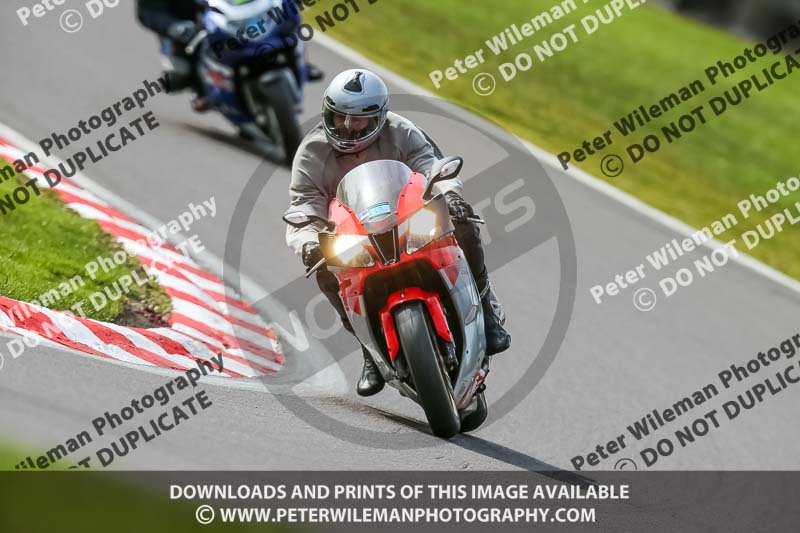 Oulton Park 21st March 2020;PJ Motorsport Photography 2020;anglesey;brands hatch;cadwell park;croft;donington park;enduro digital images;event digital images;eventdigitalimages;mallory;no limits;oulton park;peter wileman photography;racing digital images;silverstone;snetterton;trackday digital images;trackday photos;vmcc banbury run;welsh 2 day enduro